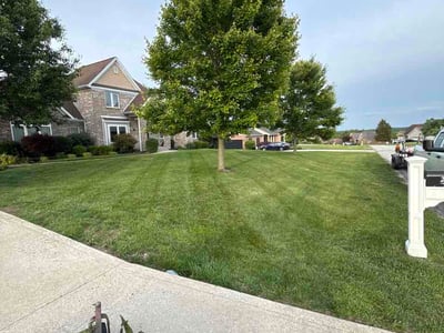 Lawn Care service in Morgantown, 26505