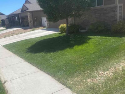 Lawn Care service in Greeley, 80631