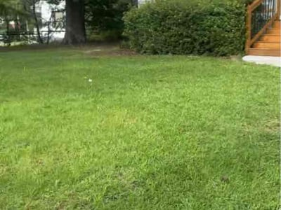 Lawn Care service in Hiram, 30141