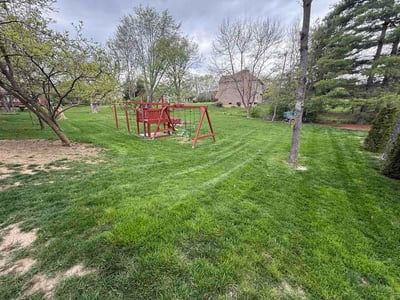 Lawn Care service in Morgantown, 26505