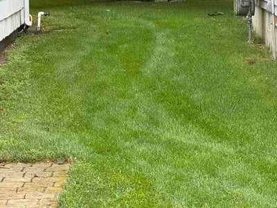 Lawn Care service in Barrington, 02806