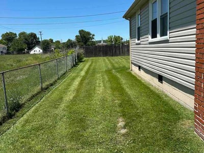 Lawn Care service in Rogersville, 37857