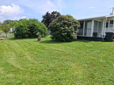 Lawn Care service in Beckley, 25813