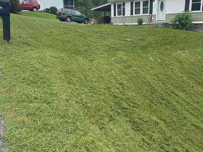 Lawn Care service in Rogersville, 37857