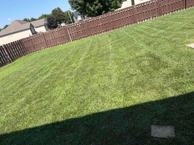 Lawn Care service in Fort Lee, 07024