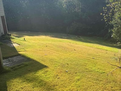Lawn Care service in Fayetteville, 30214