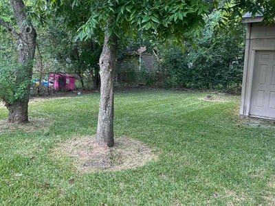 Lawn Care service in La Marque, 77568