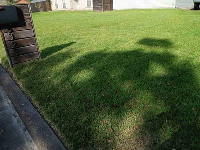 Lawn Care service in La Marque, 77568