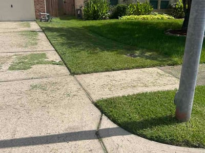 Lawn Care service in La Marque, 77568
