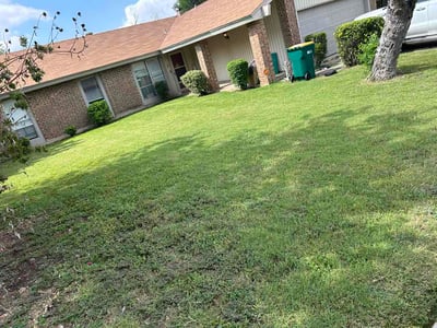 Lawn Care service in Live Oak, 78233
