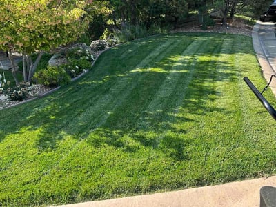 Lawn Care service in Saint George, 84770