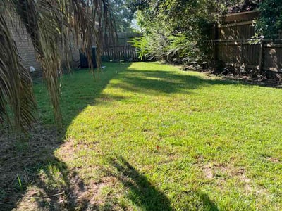 Lawn Care service in Moss Point, 39563