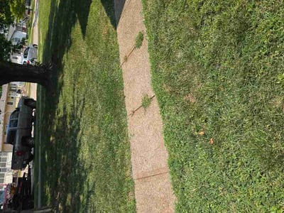 Lawn Care service in Council Bluffs, 51501