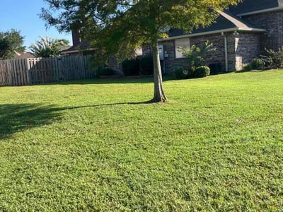 Lawn Care service in Moss Point, 39563