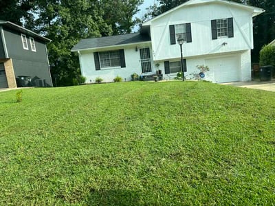Lawn Care service in Leeds, 35094