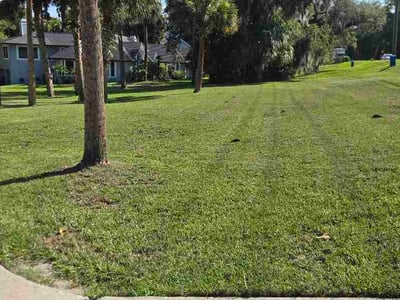 Lawn Care service in Coventry, 02816