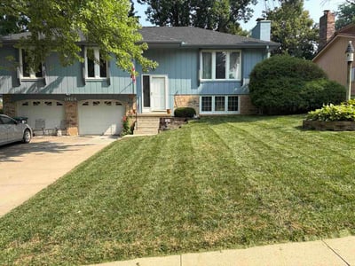 Lawn Care service in Brigham City, 84302