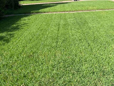 Lawn Care service in Henderson, 75652