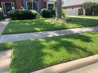 Lawn Care service in Willis, 77378