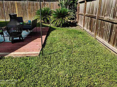 Lawn Care service in Texarkana, 75501