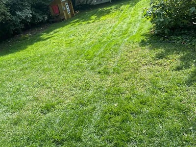 Lawn Care service in Providence, 02903