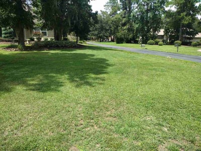Lawn Care service in Gainesville, 32601