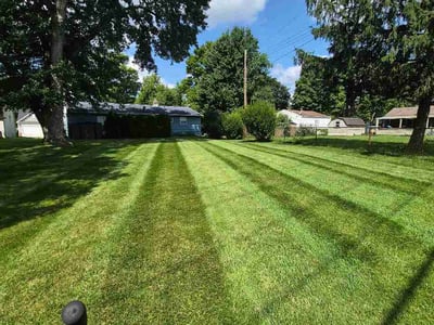 Lawn Care service in Johnstown, 15901