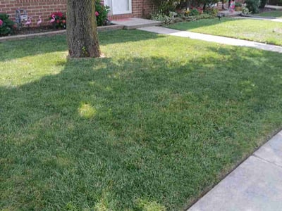 Lawn Care service in Bellefonte, 16823