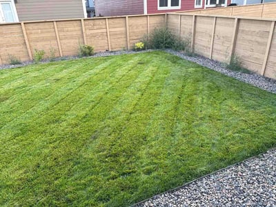 Lawn Care service in Loveland, 80537
