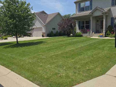 Lawn Care service in La Crosse, 54601