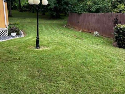 Lawn Care service in Carrollton, 30117
