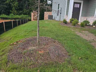Lawn Care service in Carrollton, 30117