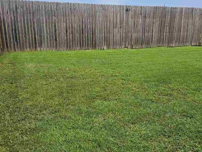 Lawn Care service in Fairhope, 36532