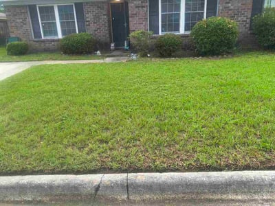 Lawn Care service in Dalton, 30720