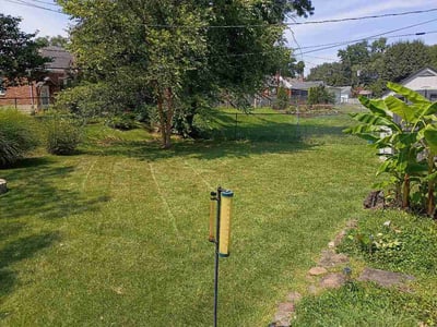 Lawn Care service in Affton, 63123