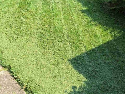 Lawn Care service in Steubenville, 43952