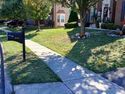 Lawn Care service in Martinsburg, 25401