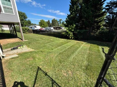 Lawn Care service in Martinsburg, 25401