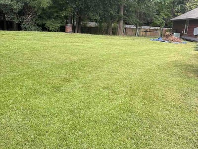 Lawn Care service in Opelika, 36801