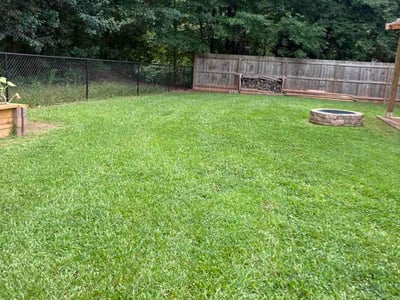 Lawn Care service in Brookhaven, 30319
