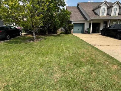 Lawn Care service in Opelika, 36801