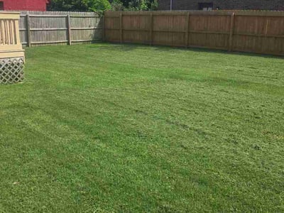Lawn Care service in Abingdon, 24210