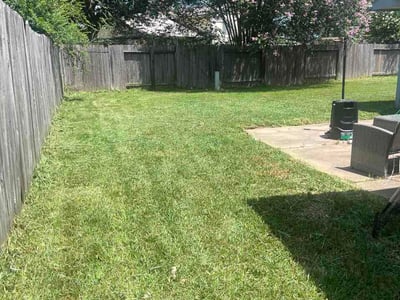 Lawn Care service in Stafford, 77477