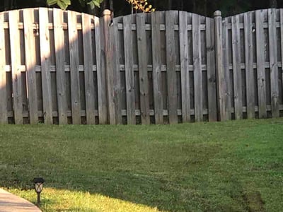 Lawn Care service in Chelsea, 35043