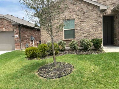 Lawn Care service in Swansea, 02777