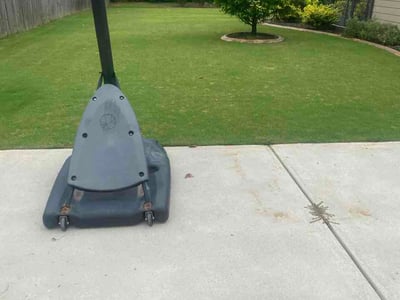Lawn Care service in Dunwoody, 30338