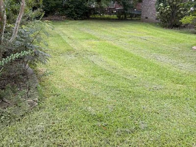 Lawn Care service in Fall River, 02720