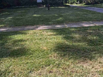 Lawn Care service in Jamestown, 14701