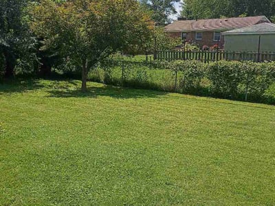 Lawn Care service in Ashland, 41101