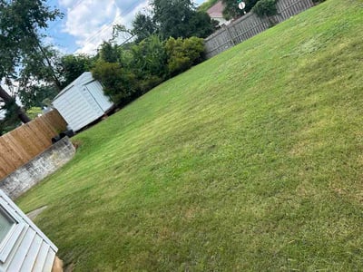 Lawn Care service in Stockbridge, 30281